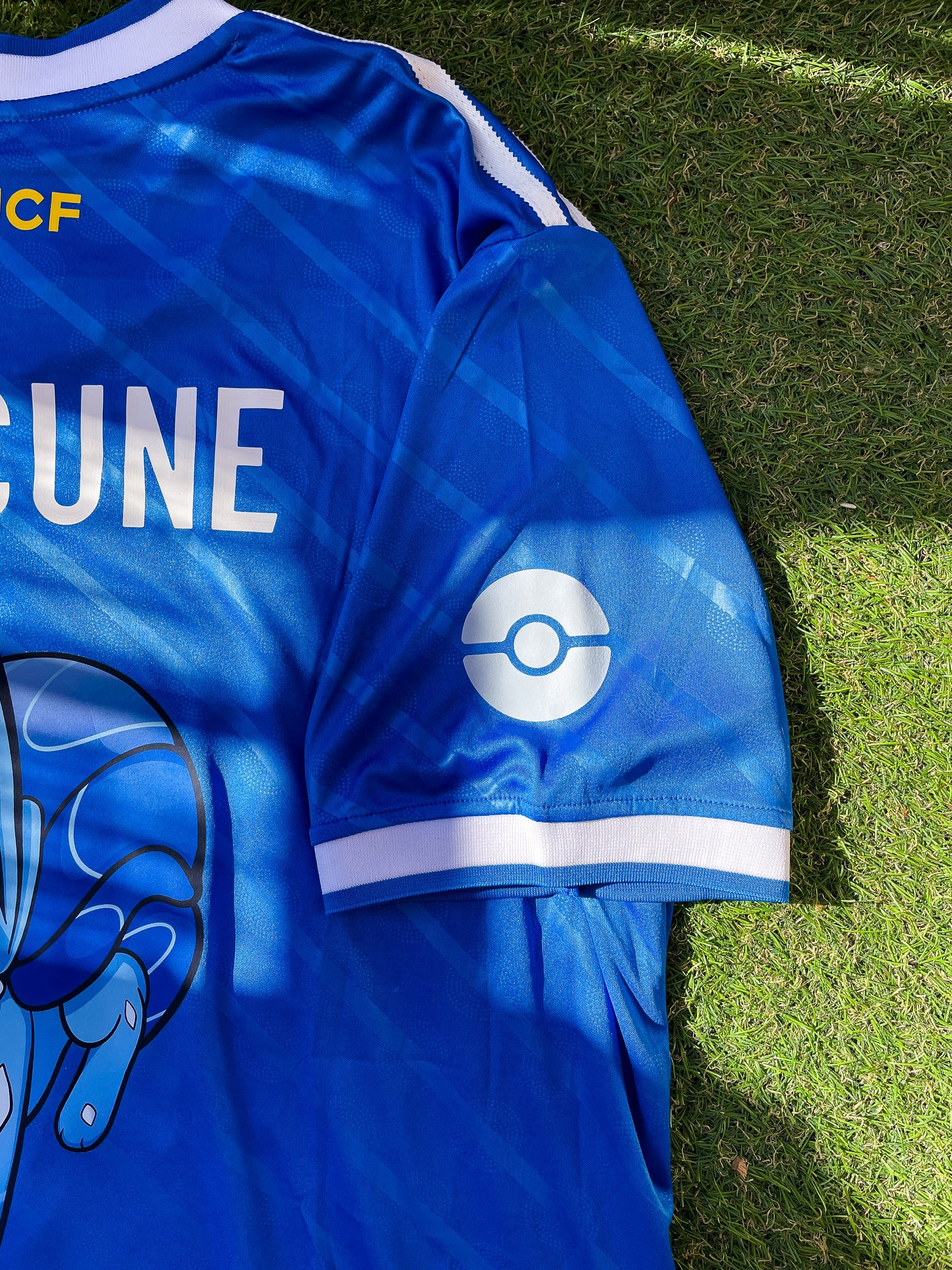 Maillot SUICUNE