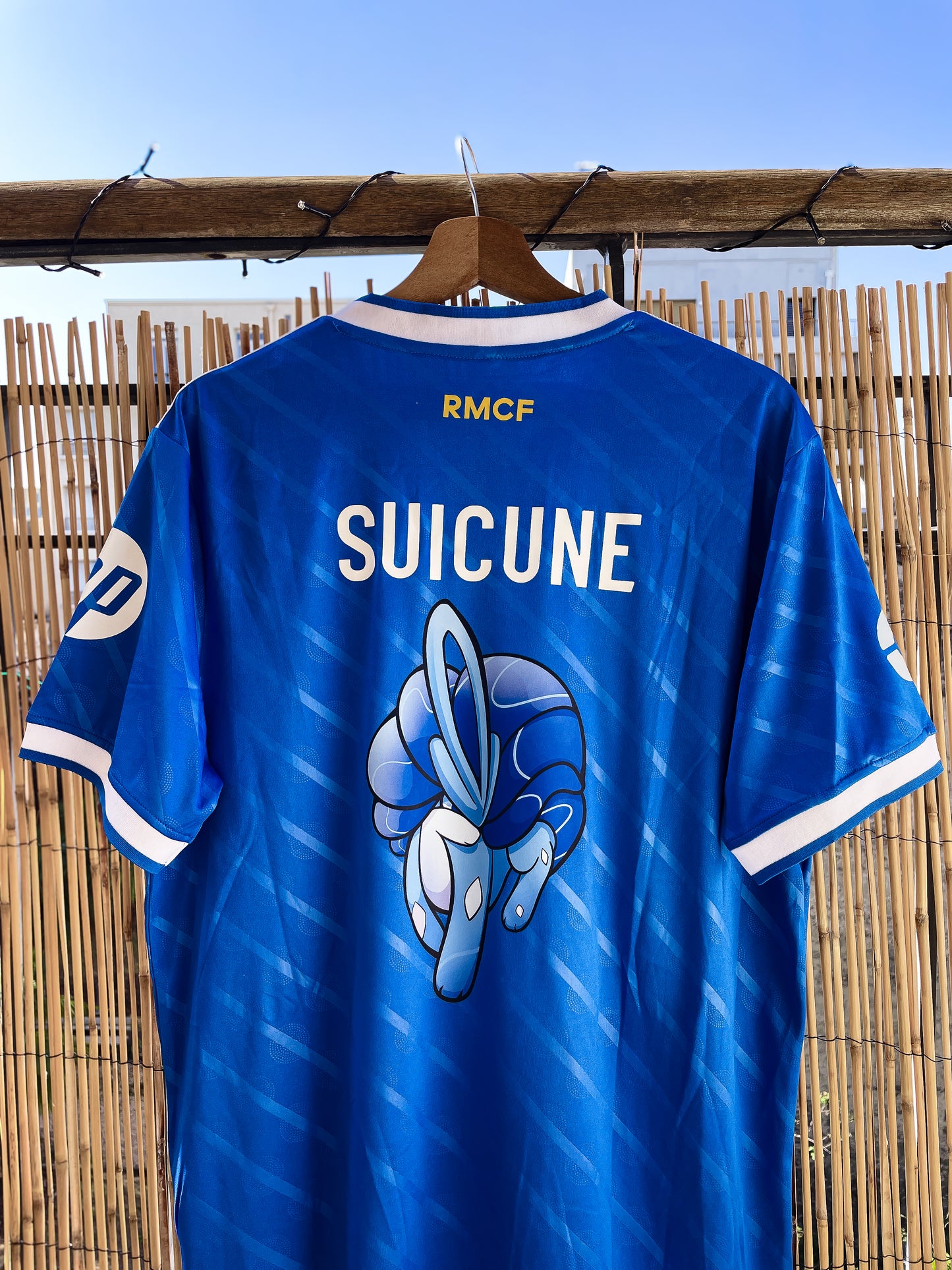 Maillot SUICUNE